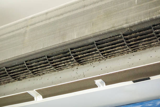 Best Affordable HVAC Duct Cleaning  in Monte Alto, TX